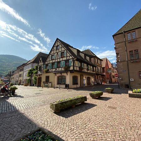Coeur D'Alsace Apartment Kaysersberg-Vignoble Exterior foto
