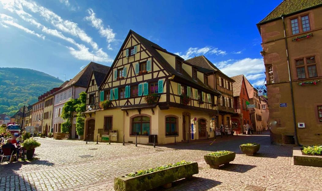 Coeur D'Alsace Apartment Kaysersberg-Vignoble Exterior foto