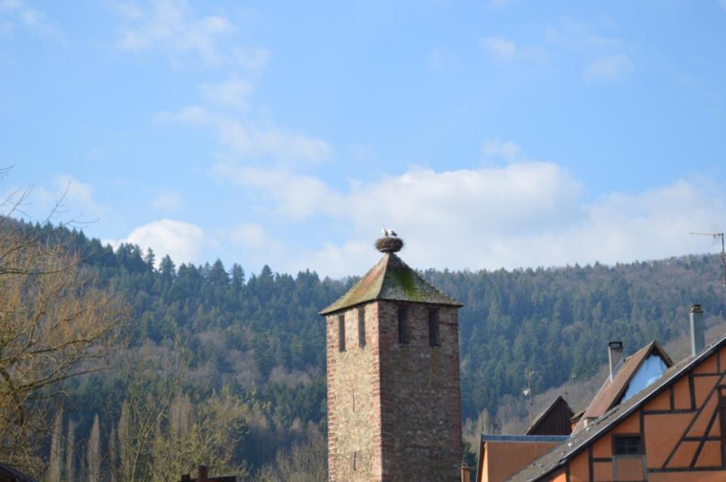 Coeur D'Alsace Apartment Kaysersberg-Vignoble Exterior foto